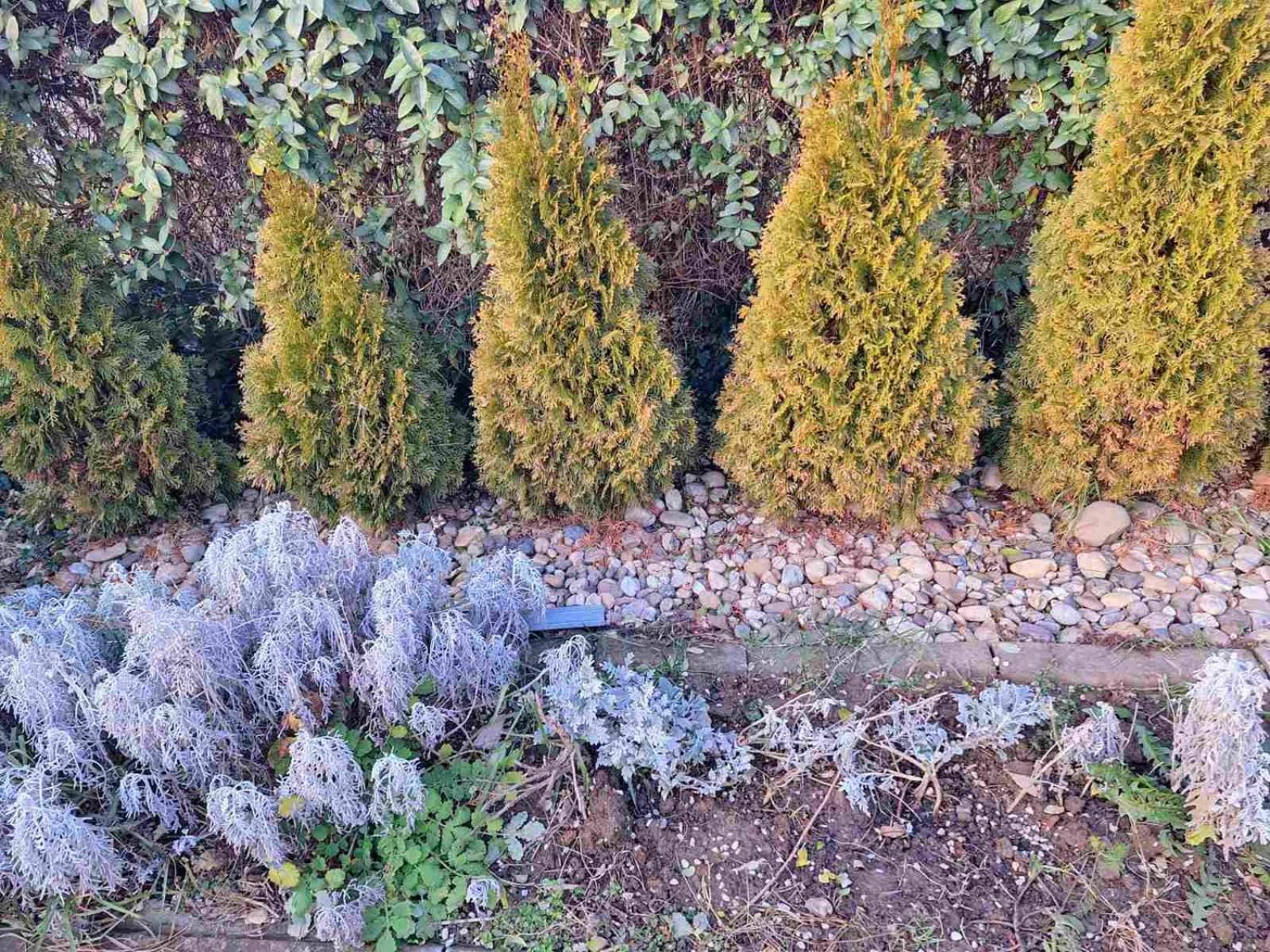 Apartament Jezero Arandelovac Zewnętrze zdjęcie